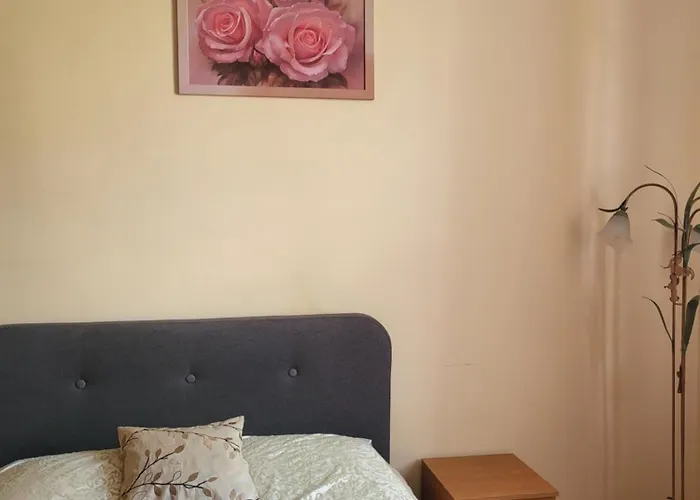 Near St. Elizabeth Church * Lviv